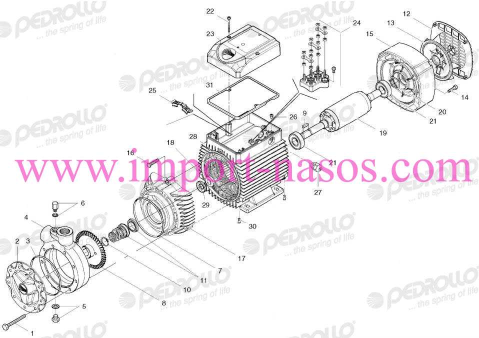 spare parts for pedrollo pump PQ3000