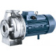 stainless steel pumps AISI321 (12X18H10T)