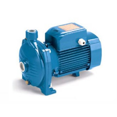pump pedrollo CP150