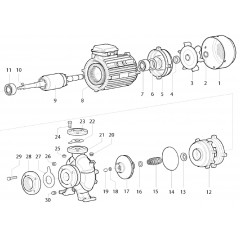 Bearing for pump Speroni CS 32-160C 25x52x15 001420531